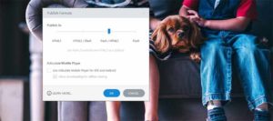 Publish to HTML5 or Flash in Storyline 360